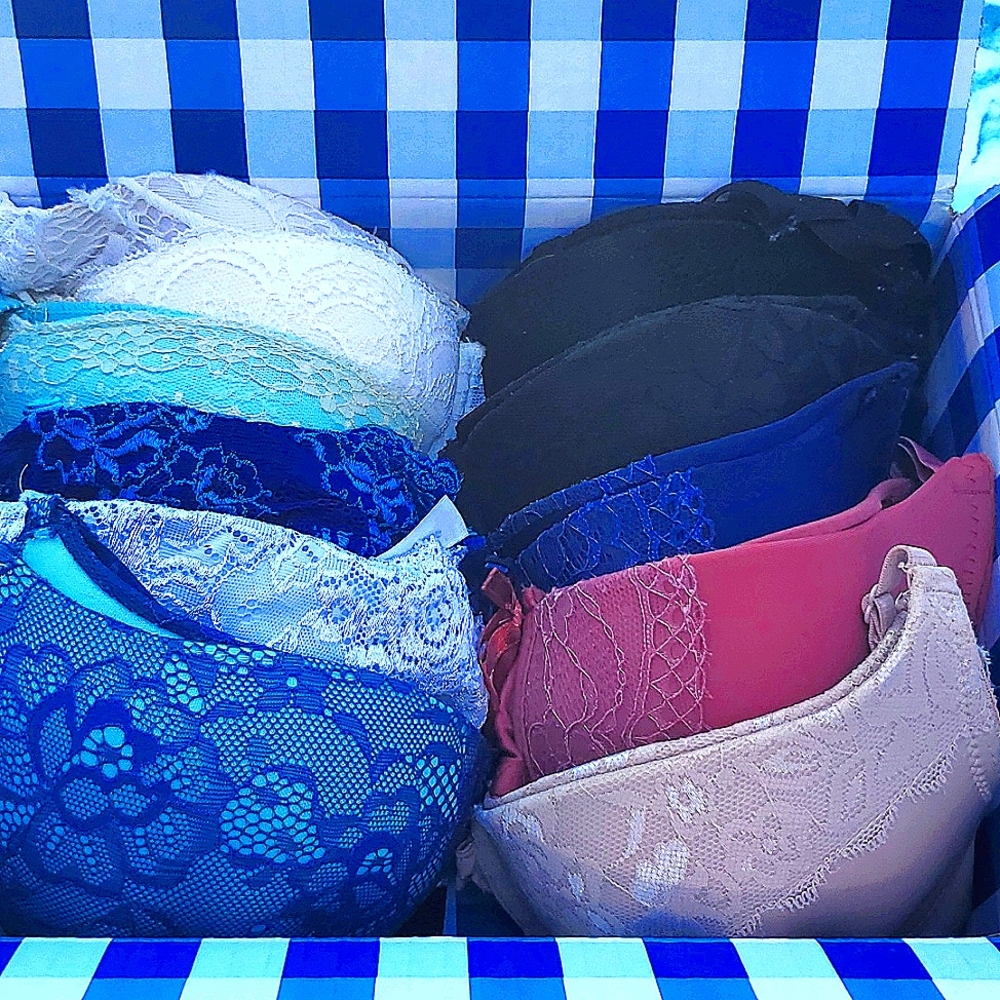 11 Bras for $15